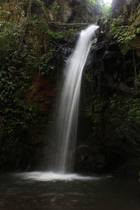 Low angle view of waterfall in forest