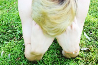 View of grassy field