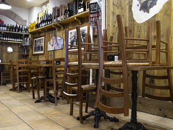 View of dog on table in restaurant