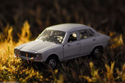 Side view of toy car on field