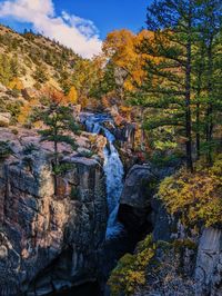 Rock formations in forest