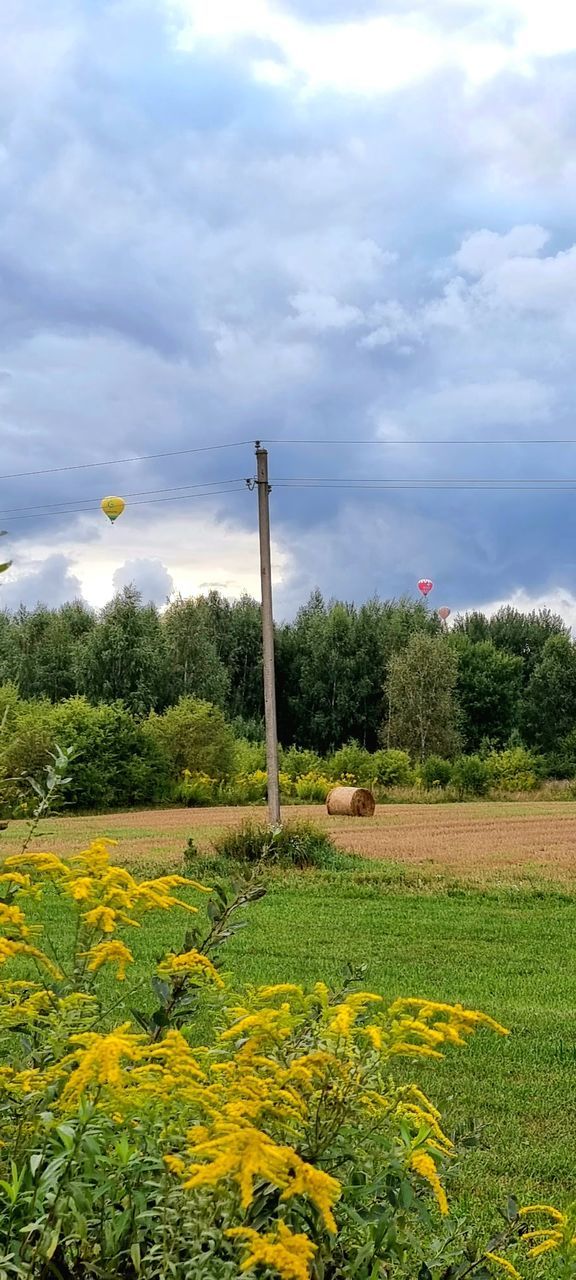 plant, sky, flower, cloud, nature, field, growth, rural area, beauty in nature, no people, tree, grass, landscape, environment, land, meadow, day, agriculture, flowering plant, hill, outdoors, green, prairie, tranquility, scenics - nature, tranquil scene, rapeseed, yellow, rural scene