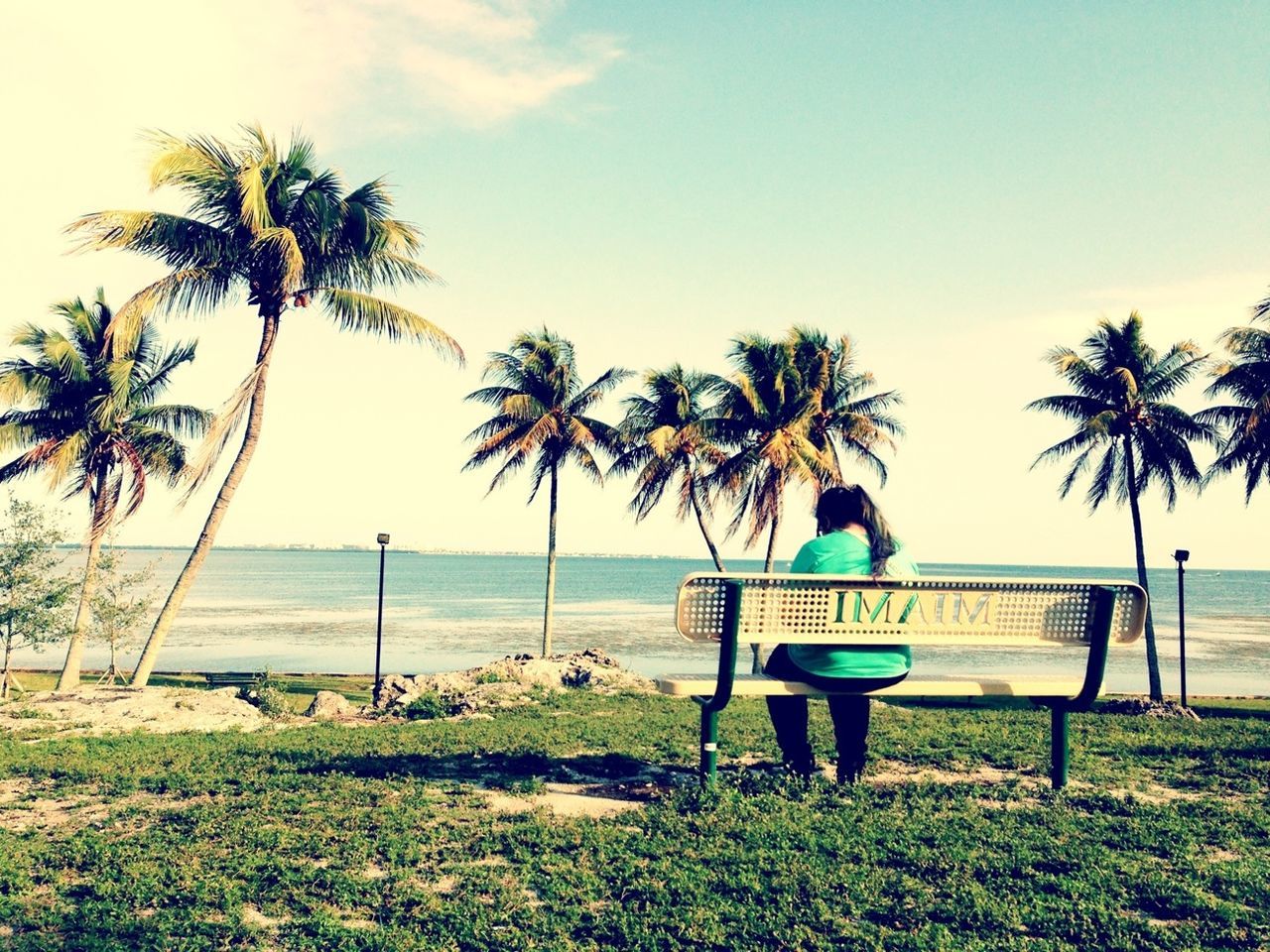 palm tree, sea, beach, horizon over water, water, tree, shore, tranquility, tranquil scene, sand, scenics, nature, sky, tree trunk, beauty in nature, vacations, coconut palm tree, growth, lounge chair, beach umbrella