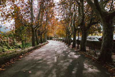 Road amidst trees in park during autumn