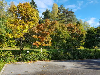 Trees growing in park against sky during autumn