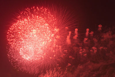 Low angle view of firework display at night