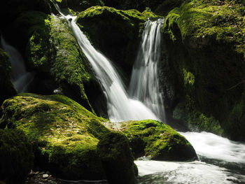 Scenic view of waterfall in forest