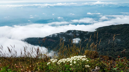 Scenic view of lake against cloudy sky