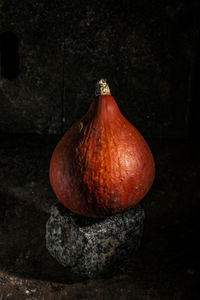 Close-up of pumpkin on rock