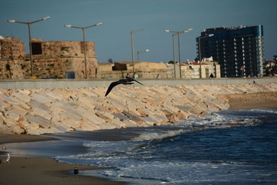 Scenic view of beach by sea against sky