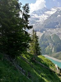 Scenic view of tree mountains against sky