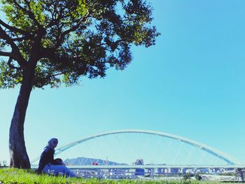 Man by plants against clear blue sky