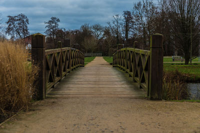 Footpath amidst trees against sky