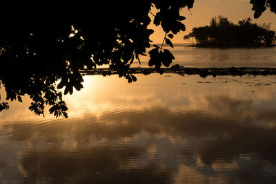 Silhouette trees by lake against sky during sunset