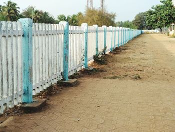 Footpath amidst trees