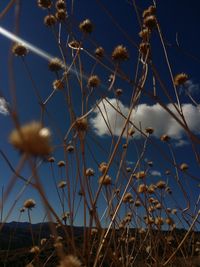 Low angle view of sky