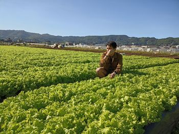 agriculture