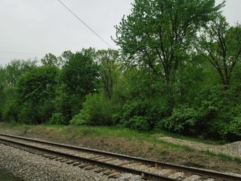 Railroad track amidst trees against sky