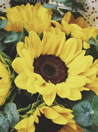 Close-up of yellow flowers blooming outdoors