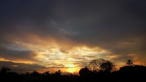 Silhouette of trees at sunset