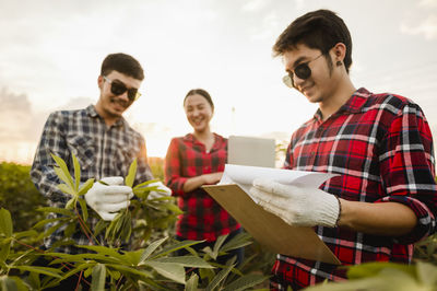 Coworkers examining plants in farm