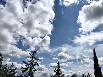 Low angle view of trees against sky