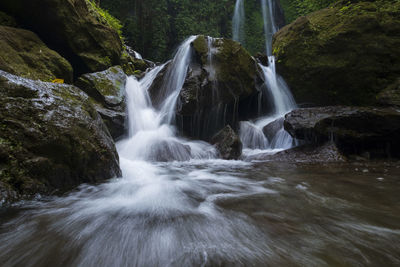 Scenic view of waterfall in forest