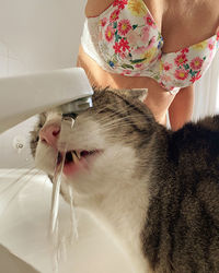 Low angle view of cat drinking water