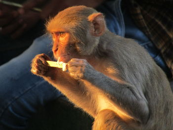 Young man eating food