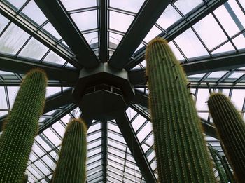 Low angle view of skylight