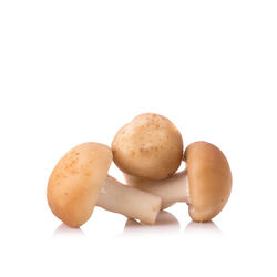 Close-up of eggs against white background