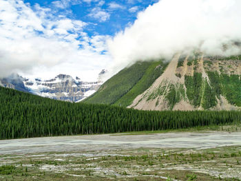 Scenic view of landscape against sky