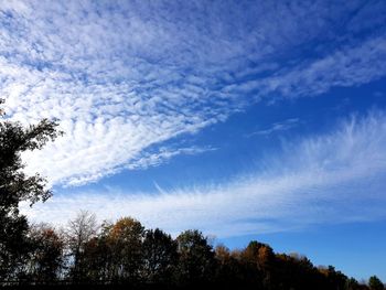 Low angle view of trees against sky