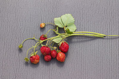 High angle view of strawberries on table