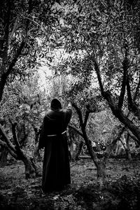 Rear view of woman standing by tree in forest