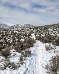 Snow covered land against sky