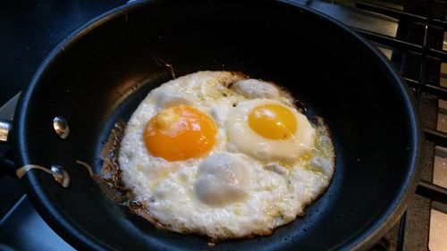 egg