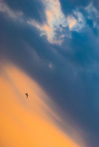 Bird flying in sky during sunset