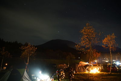 Firework display over trees against sky at night