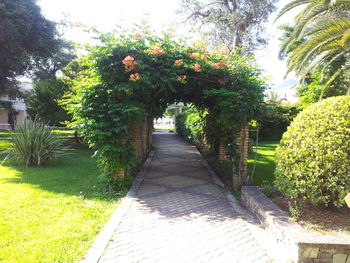 Plants and trees in park