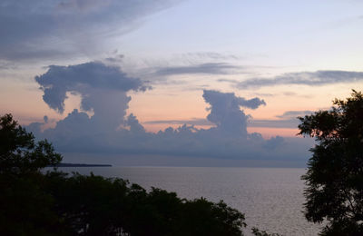 Silhouette of trees and sea against sky