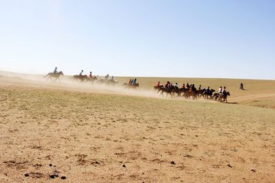 People riding horses in desert against clear sky