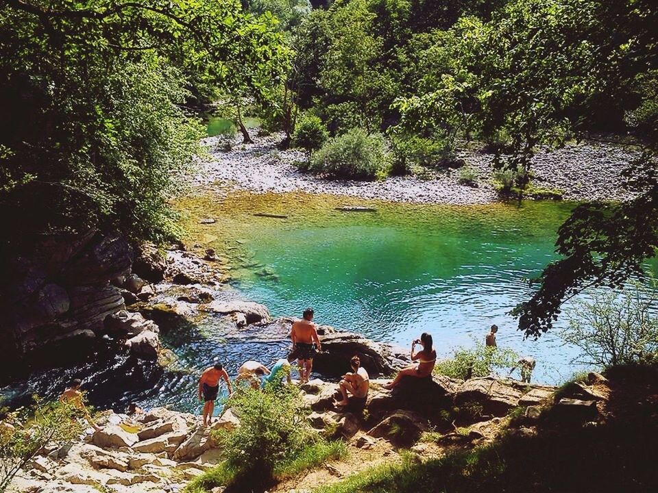 tree, water, nature, green color, outdoors, growth, beauty in nature, lake, no people, day