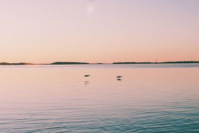 Scenic view of lake at sunset