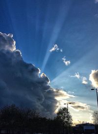 Low angle view of trees against cloudy sky