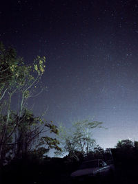 Low angle view of trees and building against sky at night