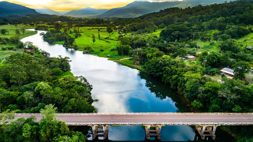 High angle view of river amidst trees