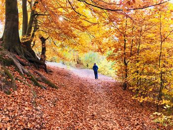 Man walking on street amidst trees during autumn