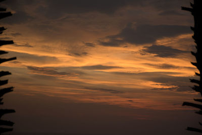 Low angle view of sky during sunset