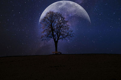 Bare tree on field against sky at night